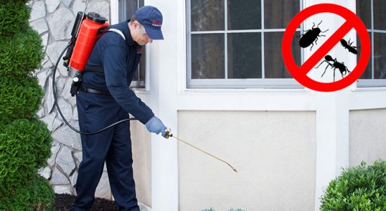 Doğubayazıt Dezenfeksiyon böcek ilaçlama ve haşere kontrolü — ilaclama-tr.com